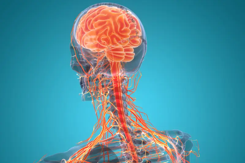 Praxis für Ergotherapie und sensorische Integration in Erbach bei Ulm - Neurologie Praxis für Ergotherapie und sensorische Integration in Erbach bei Ulm - Neurologie